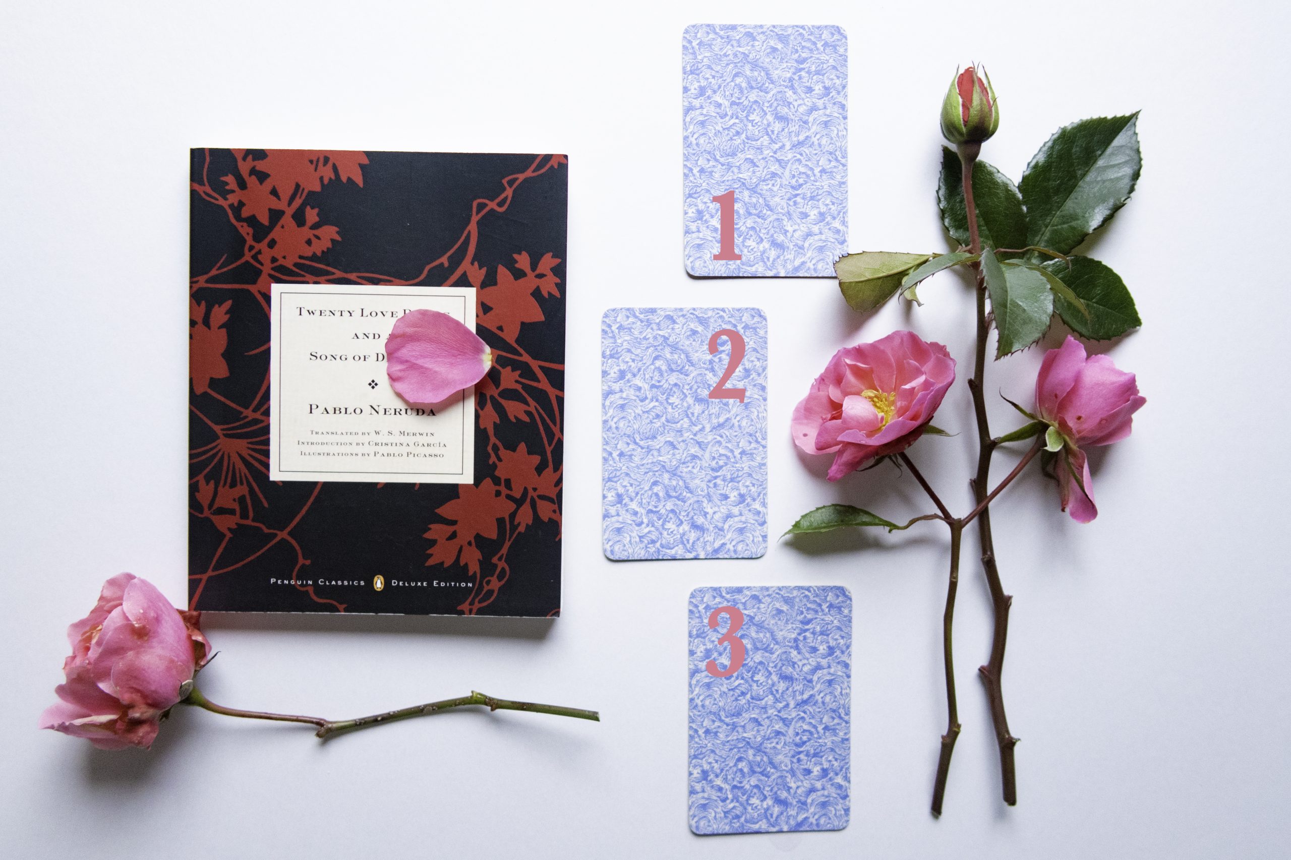 Free Tarot Card Love Reading Michele Knight Free Tarot Card Love Reading Michele Knight