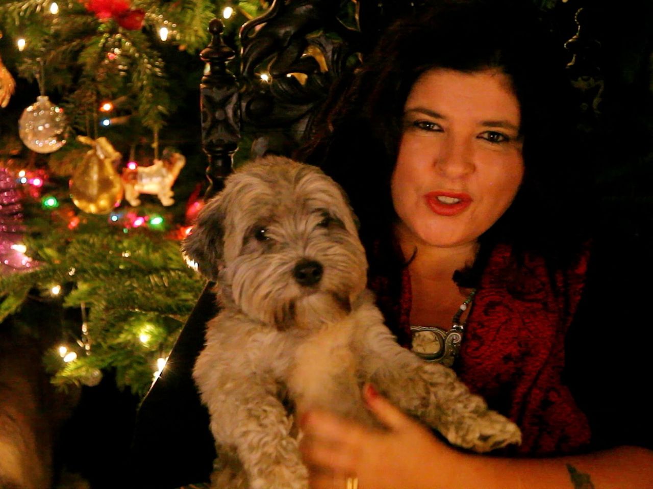 Xmas psychic and astrology reading