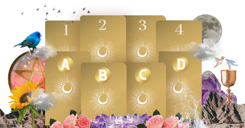 8 card reading
