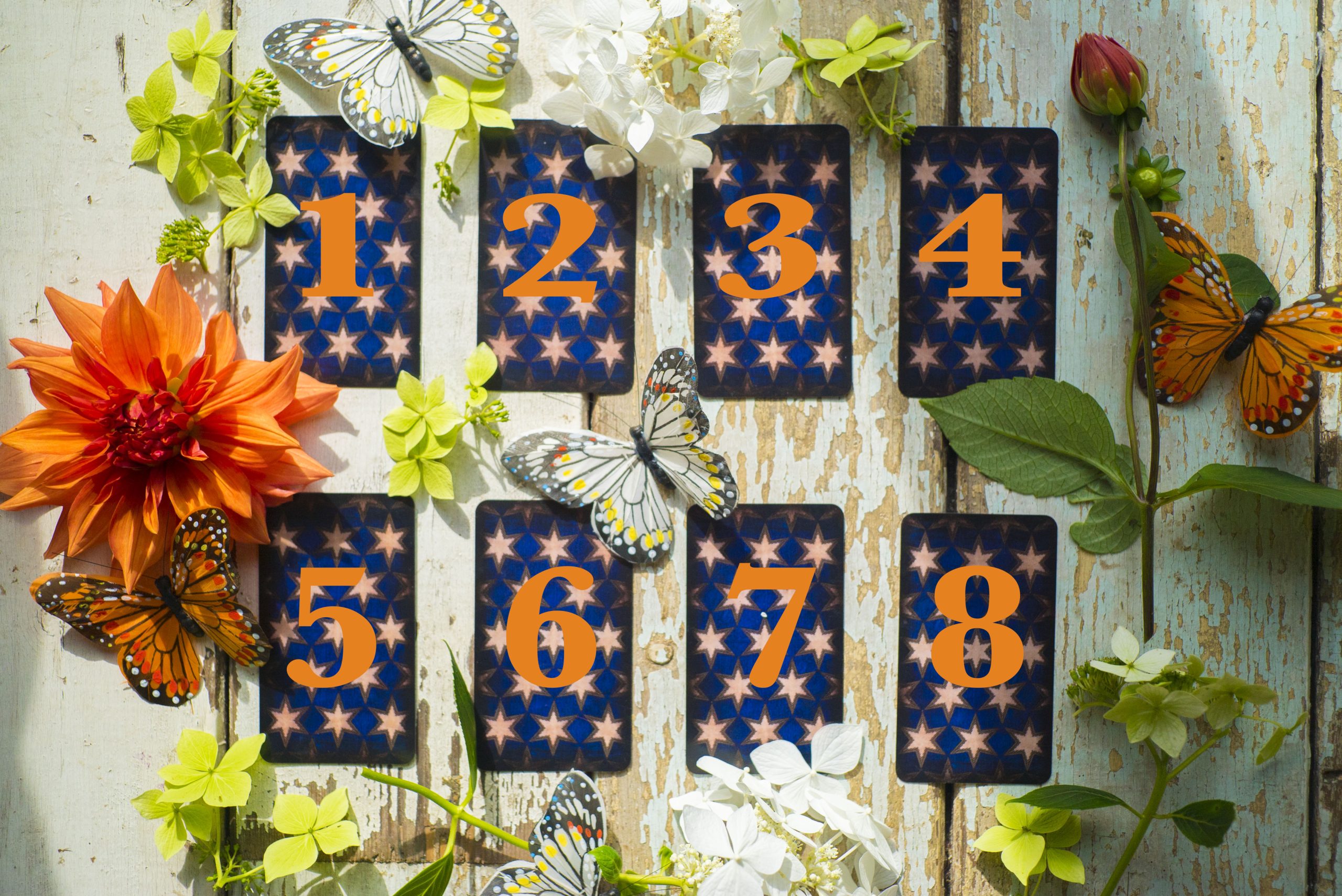 Your Free 8 Card Interactive Tarot Reading Michele Knight Your Free 8 Card Interactive Tarot Reading Michele Knight