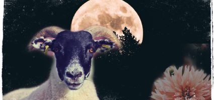 March Monthly Horoscopes